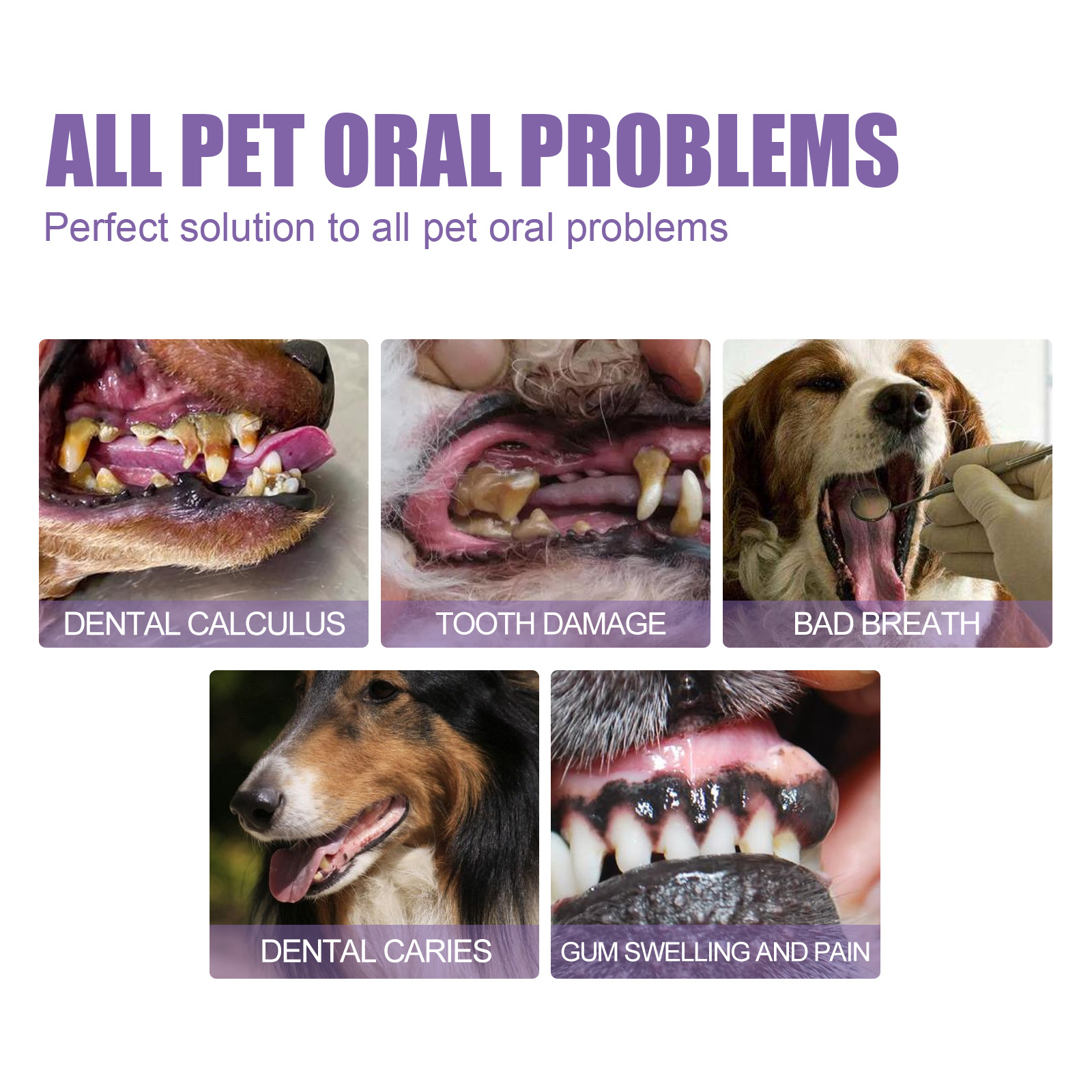 ペット口腔修復ジェル子犬歯石除去消臭剤白くする猫犬歯ステイン - Teeth Whitening Vape のレビューと価格