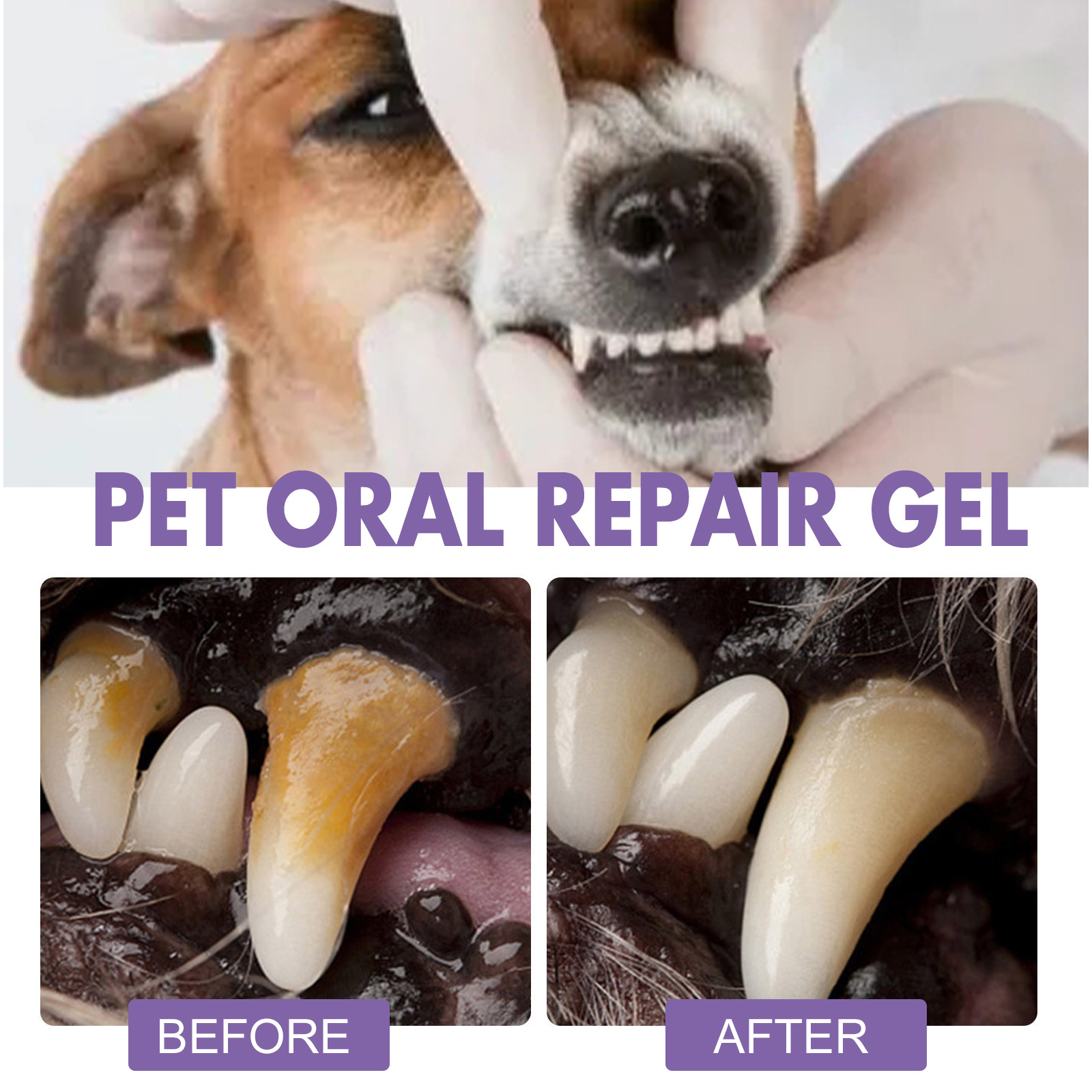 ペット口腔修復ジェル子犬歯石除去消臭剤白くする猫犬歯ステイン - Teeth Whitening Results のレビューと価格