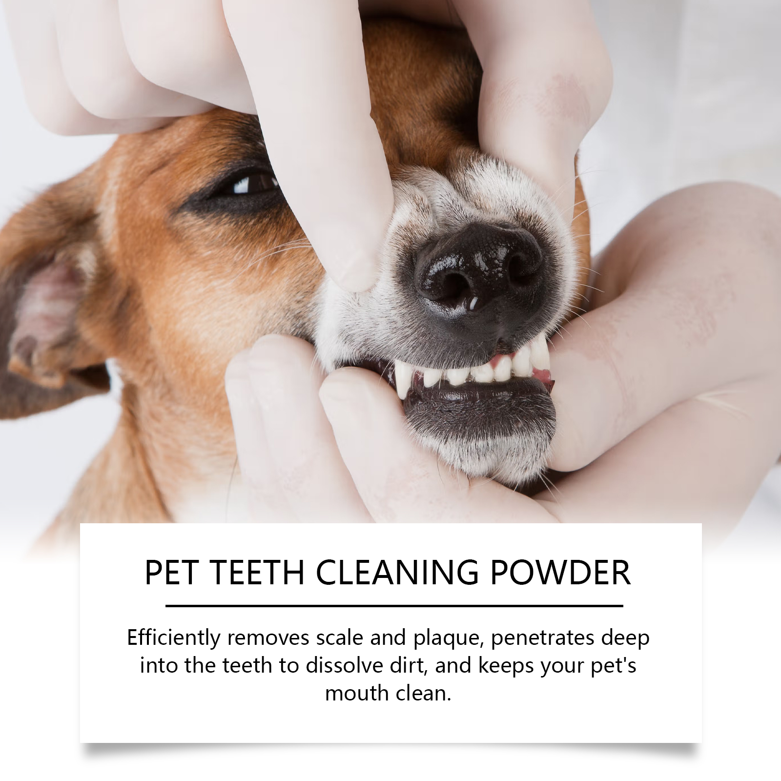 ペットの歯のクリーニングパウダー 歯垢を減らし、歯石を除去し - Teeth Whitening Vape のレビューと価格