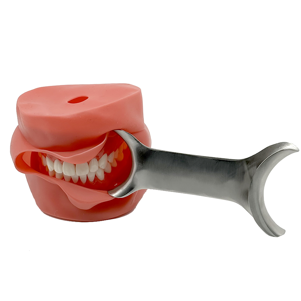 3 個のオートクレーブ可能な T 字型リトラクター ステンレ - Teeth Whitening For Photos のレビューと価格